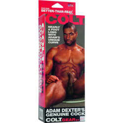 CALEXOTICS COLT PENE REALISTICO ADAM DEXTER