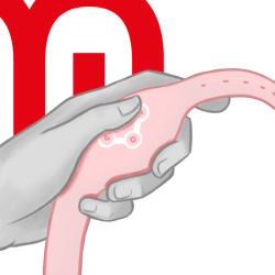 WATCHME RELOJ CONTROL REMOTO WIRELESS TECHNOLOGY ROSORAL