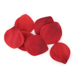 EXTASE SENSUAL COFRE TENTACION ROJA