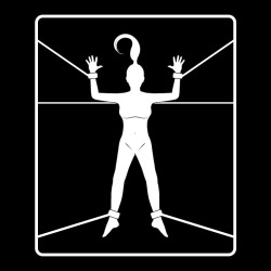 FETISH SUBMISSIVE SET DE ESPOSAS Y ATADURAS CON FORRO DE NEOPRENO