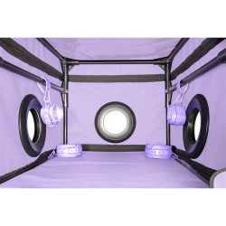 SECRET DOME KINK CLUB LA NICHE CABINA MORADO