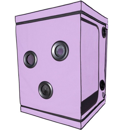 SECRET DOME KINK CLUB CABINA SCANDALE MORADO