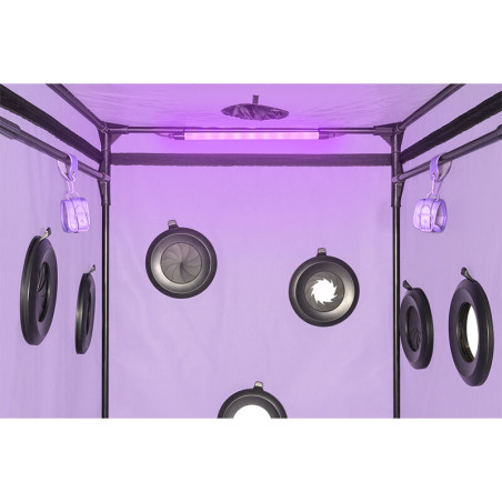 SECRET DOME KINK CLUB CABINA SCANDALE MORADO