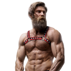 FETISH SUBMISSIVE ATTITUDE ARNES BULLDOG ECOPIEL PECHO HOMBRE NEGRO ROJO