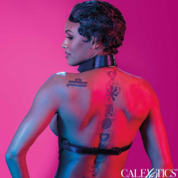 CALEXOTICS EUPHORIA ARNES DE CUELLO DE CADENA