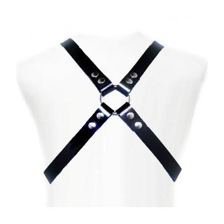 LEATHER BODY BASIC HARNESS