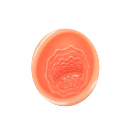 BAILE ORAL SEX LOVER 30V C ADAPTADOR